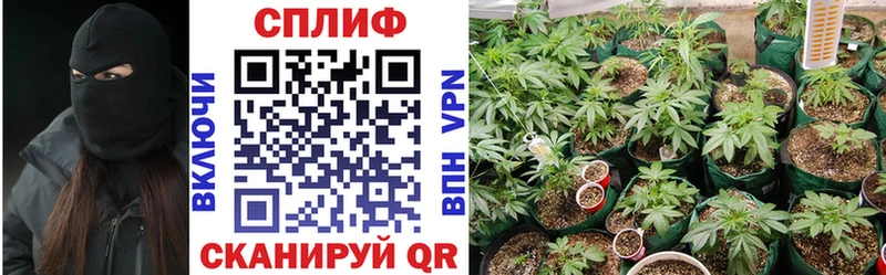 Купить наркоту Давлеканово Гашиш  СК  Мефедрон 
