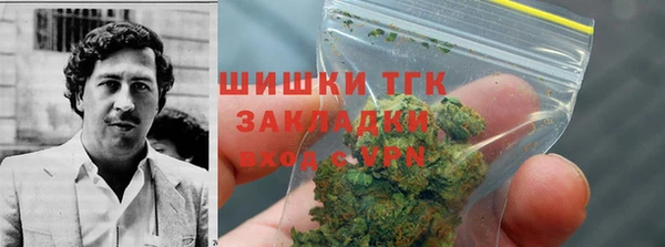 2c-b Гусев