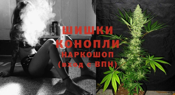 бутират Горнозаводск