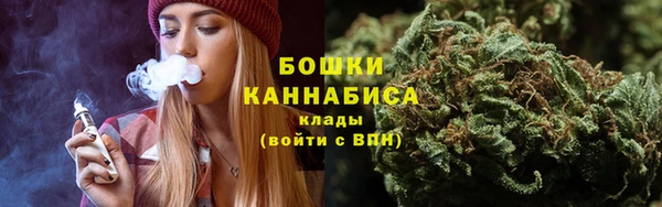 молекула духа Горняк