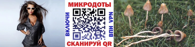 MEGA tor  Давлеканово  Псилоцибиновые грибы мицелий 